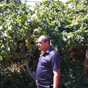 ���������� ������, ���� ������� ������, 61 ���, ������������ ��� ������