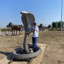 ���������� ���������, ���� ������� ����, 35 ���, ������������ ��� ������, ����� � ���������, ���������