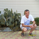 ���������� ���������, ���� ������� �����, 53 ����, ������������ ��� ������, ����� � ���������, c�������� ���������, ���������