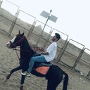 ���������� Al Ghardaqah, ���� ������� Ahmed, 26 ���, ������������ ��� ������, ����� � ���������