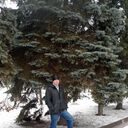 ���������� ��������, ���� ������� �����, 43 ����, ������������ ��� ������, ����� � ���������