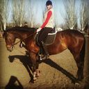 ���������� ��������, ���� ������� ����, 29 ���, ������������ ��� ����� � ���������, c�������� ���������