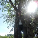 ���������� ���������, ���� ������� ������, 33 ����, ������������ ��� ������, ����� � ���������, c�������� ���������