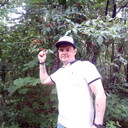 ���������� ������, ���� ������� ���, 38 ���, ������������ ��� ������, ����� � ���������