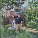 ���������� ���������, ���� ������� ����, 44 ����, ������������ ��� ������, ����� � ���������