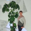  ,   Nata, 50 ,     , c , 