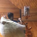 ���������� ���������, ���� ������� Ben, 31 ���, ������������ ��� ������, ����� � ���������