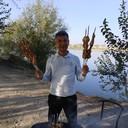 ���������� �������, ���� ������� Botir, 47 ���, ������������ ��� ������, ����� � ���������, c�������� ���������