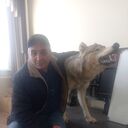 ���������� ����������, ���� ������� �����, 50 ���, ������������ ��� ������, ����� � ���������