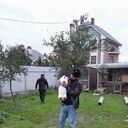  ,   , 36 ,   ,   