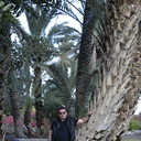 ���������� �����-���������, ���� ������� �����, 66 ���, ������������ ��� ������, ���������