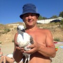  ,   , 44 ,   ,   , c , 