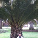 ���������� �����������, ���� ������� ������, 50 ���, ������������ ��� ������, ����� � ���������, c�������� ���������