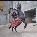 ���������� ������, ���� ����� ������, 24 ����, ������������ ��� ������, ����� � ���������