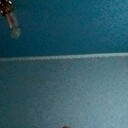 ���������� �����-���������, ���� ������� �����, 53 ����, ������������ ��� ������