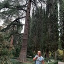 ���������� �����������, ���� ������� ����, 33 ����, ������������ ��� ������, ����� � ���������, c�������� ���������