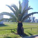 ���������� ����, ���� ������� �������, 42 ����, ������������ ��� ������, ����� � ���������, c�������� ���������