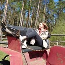 ���������� ������, ���� ������� �����, 26 ���, ������������ ��� ������, ����� � ���������