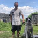  ,   , 40 ,   ,   , c , 