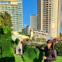 ���������� ����, ���� ������� ���, 35 ���, ������������ ��� ������, ����� � ���������