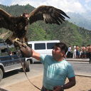 ���������� ���������, ���� ������� �����, 51 ���, ������������ ��� ������