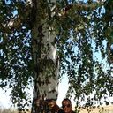 ���������� ��������, ���� ������� ������, 41 ���, ������������ ��� ������, ����� � ���������