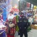 ���������� ������, ���� ������� �����, 28 ���, ������������ ��� ����� � ���������