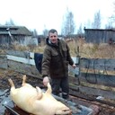 ���������� ������ ��������, ���� ������� �����, 40 ���, ������������ ��� ������, ����� � ���������, c�������� ���������