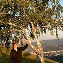  ,   , 25 ,   ,   , c 