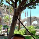  ,   , 41 ,   ,   , c 