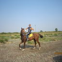  ,   Roman, 42 ,   