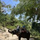 ���������� ������������, ���� ������� ����, 36 ���, ������������ ��� ����� � ���������, c�������� ���������, ���������