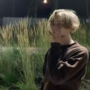 ���������� �����, ���� ����� �������, 25 ���, ������������ ��� ������, ����� � ���������