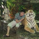  ,   SHANS, 41 ,   ,   
