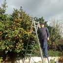  ,   , 66 ,   c 
