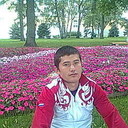 ���������� ������, ���� ������� ���, 41 ���, ������������ ��� ������, ����� � ���������, c�������� ���������