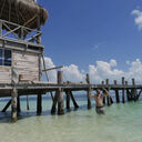 ���������� ������-��-����, ���� ������� ϸ��, 32 ����, ������������ ��� ������, ����� � ���������, c�������� ���������