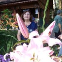  ,   , 63 ,   ,   , c 