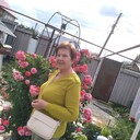  ,   , 74 ,  
