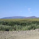 ���������� ���������, ���� ������� ������, 29 ���, ������������ ��� ����� � ���������, c�������� ���������