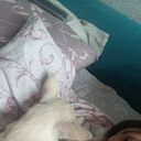 ���������� �����, ���� ������� ������, 35 ���, ������������ ��� ������, ����� � ���������, c�������� ���������