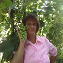 ���������� ������, ���� ������� �����, 63 ����, ������������ ��� ������, ����� � ���������, c�������� ���������