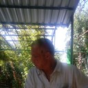 ���������� ������, ���� ������� �������, 65 ���, ������������ ��� ������, ����� � ���������, c�������� ���������