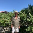 ���������� ������, ���� ������� ������, 62 ����, ������������ ��� c�������� ���������