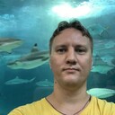 ���������� �������, ���� ������� ��������, 29 ���, ������������ ��� c�������� ���������