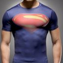 ���������� ������, ���� ������� ���������, 30 ���, ������������ ��� ���������