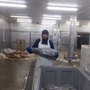 ���������� ������, ���� ������� ����, 46 ���, ������������ ��� ������, ����� � ���������