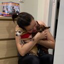 ���������� �����-���������, ���� ������� ����, 43 ����, ������������ ��� ������, ����� � ���������, c�������� ���������