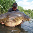 ���������� ������, ���� ������� ���������, 45 ���, ������������ ��� ������, ����� � ���������