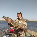  ,   Marina, 52 ,   ,   , c , 